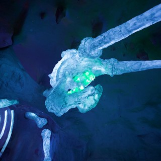 arctic-ocean-or-polar-waters