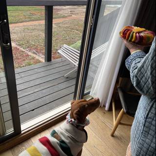A Dog's View of the World through an Open Window