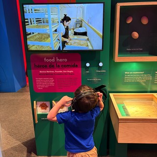 Child Explores Interactive Food Hero Museum Exhibit