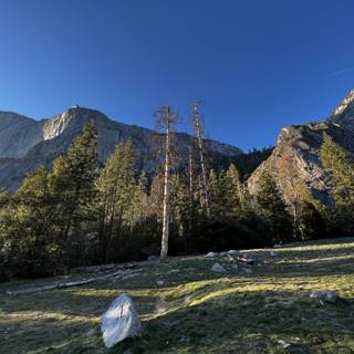 Majestic Yosemite Mountains and Trees