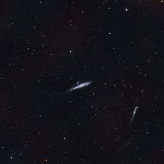 NGC 4631 - The Whale Galaxy in Deep Narrowband