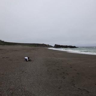 Solitary Explorer on a Fog-Shrouded Northern California Beach