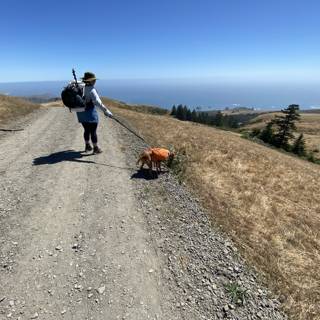 Hiking with Man's Best Friend
