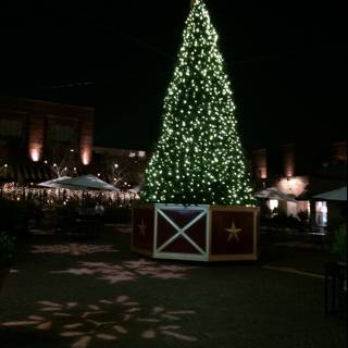 Festive lighting at Pasadena's Christmas Tree Plaza