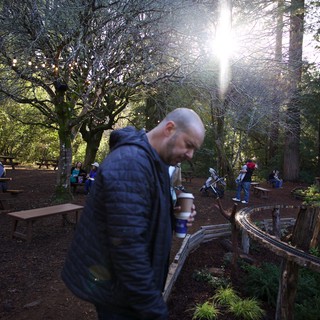 Public park or botanical garden