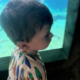 Magical Moments at the Aquarium