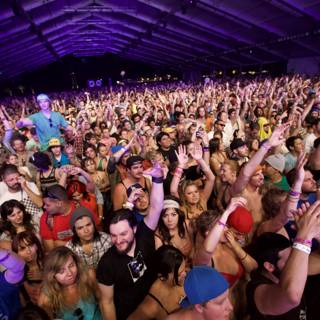 Coachella Crowd in Ecstasy