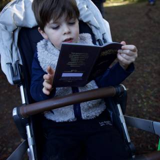Curious Minds at Thistlewyck