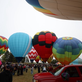 Colorful Hot Air Balloons Fill the Festival Sky