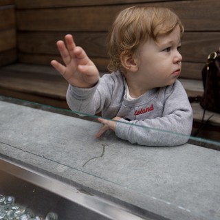 Toddler's Focused Moment at Water Table Play