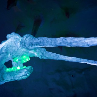 Illuminated Rope Knot Installation Underwater View