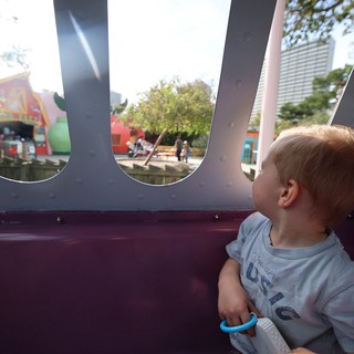Young Child Gazing Out Through Playground Structure