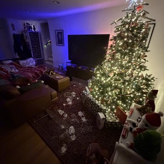 Festive Christmas Morning Living Room with Illuminated Tree