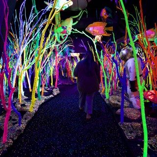 Visitors Exploring Vibrant Neon Underwater Garden Installation