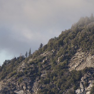 Misty Rocky Mountain Slope in Winter