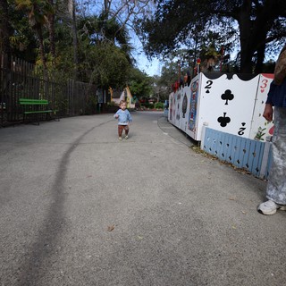 Child Walking Through Alice in Wonderland Themed Pathway