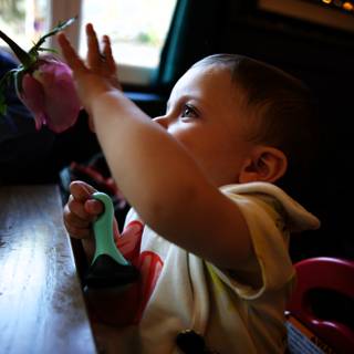 A Baby's Curiosity Blooms