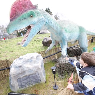 Child Reaches Toward Colorful Spinosaurus Dinosaur Display