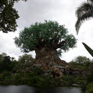 Marveling at the Majestic Tree of Life