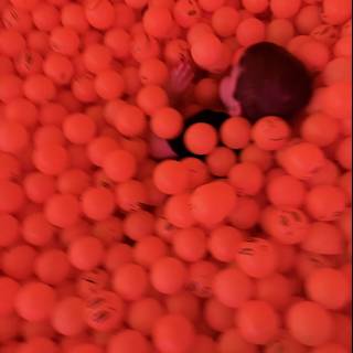 Orange Sphere Wonderland