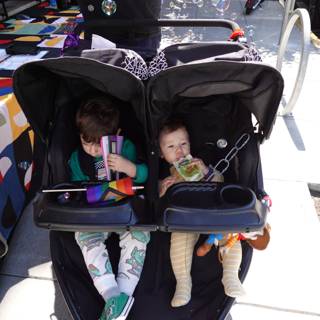 Stroller Adventures on a Sunny Day