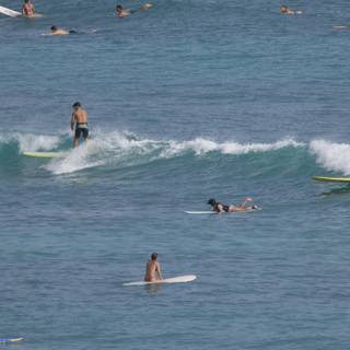 Surf's Up in Hawaii: A Day at Sea