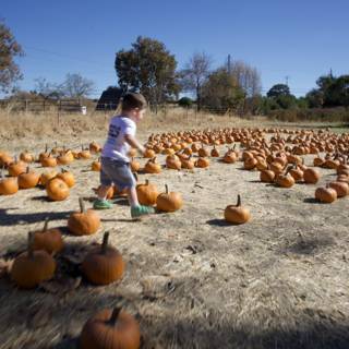 Pumpkin Patch Adventures