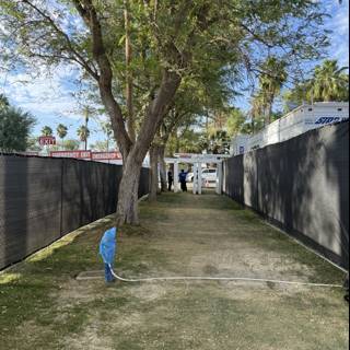 Exit Through the Trees