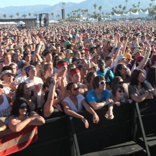 Coachella Crowd