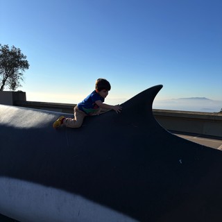 Young Boy Climbing on Whale Sculpture at Sunset