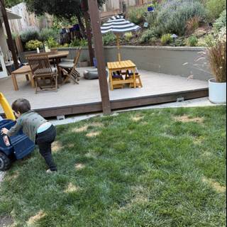 Afternoon Adventures in the Backyard