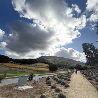 Strolling Under the Cumulus Canopy