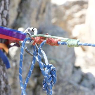 Knot Tying Practice in the Great Outdoors