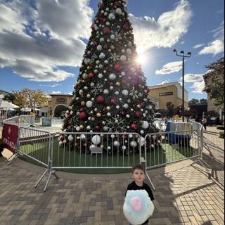 Holiday Magic at The Veranda