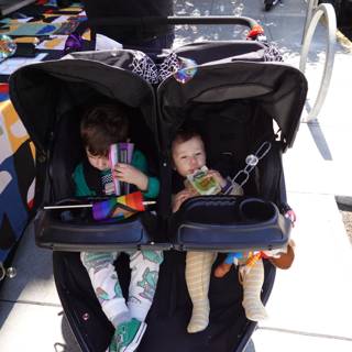 Adventures in Double Strollers