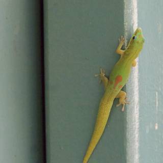 Vibrant Vigilant: A Green Gecko at the Honolulu Zoo
