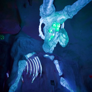 Illuminated Skeleton Display in Museum Exhibition