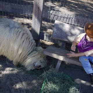 Little Cowboy's Ranch Adventure