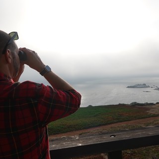 Coastal Observer with Binoculars Watching Ocean