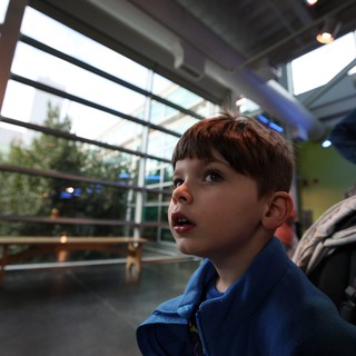 Young Boy Captivated by Wonders at Science Museum