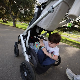 Young Child Enjoying Stroller Ride in Park