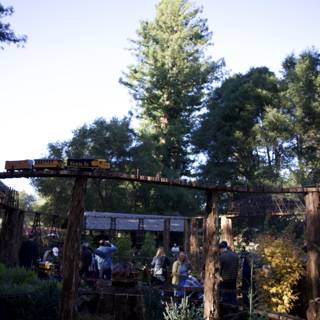 Whimsical Woodland Gathering