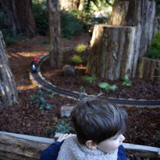 Enchanted Forest Adventures
