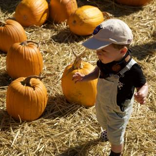A Day in the Pumpkin Patch with Wesley