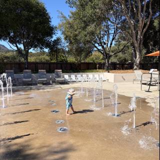 Splashing Through a Sunny Day in Carmel