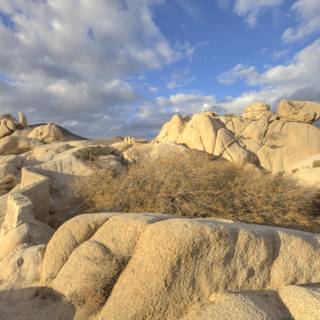Majestic Rock Formations at Joshua Tree National Park