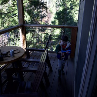 treehouse or elevated forest cabin