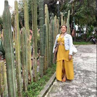 A Lady in Yellow among Cacti