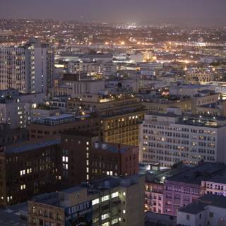 Nighttime in the Urban Metropolis