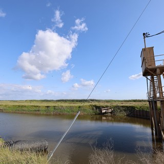 Rustic Water Pumping Station in Wetland Preserve